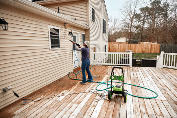 Best Residential Pressure Washing Services  in New Haven, MI