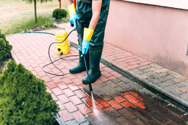 Best Residential Pressure Washing Services  in New Haven, MI