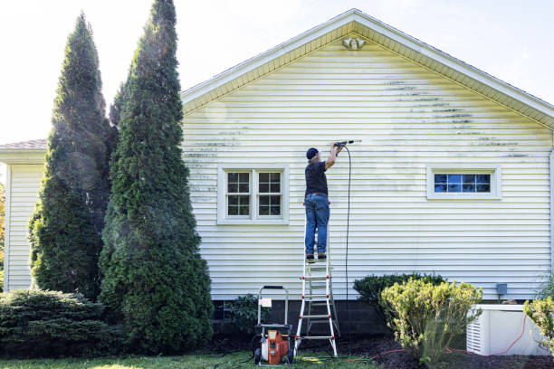 Best Affordable Pressure Washing  in New Haven, MI