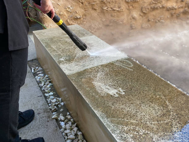 Best Pressure Washing Company Near Me  in New Haven, MI