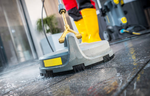 Best Pressure Washing Near Me  in New Haven, MI