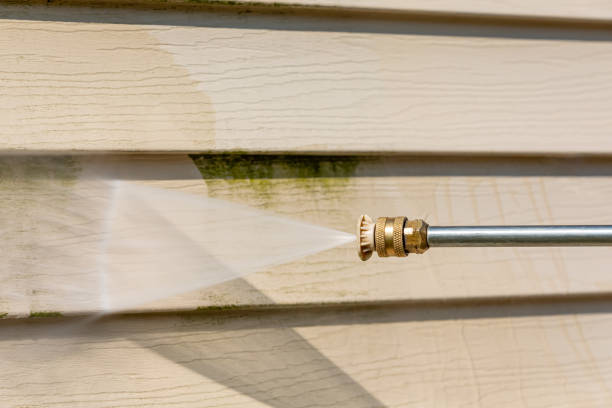 Best Pressure Washing Near Me  in New Haven, MI