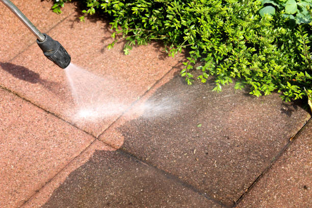 Best Concrete Pressure Washing  in New Haven, MI
